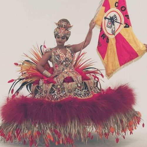 Camila Martins, Porta Bandeira da Embaixada Copa Lord, Escola de Samba na qual fui carnavalesco por 10 anos, vestida por mim no ano de 2018.